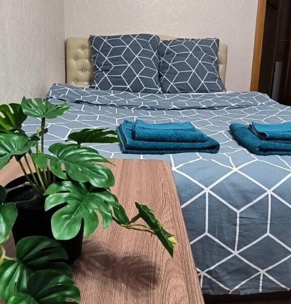 Однокомнатная квартира в Таганроге по адресу: ул.Розы Люксембург 63